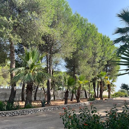 Casette Masseria La Camardia Sava Ngoại thất bức ảnh