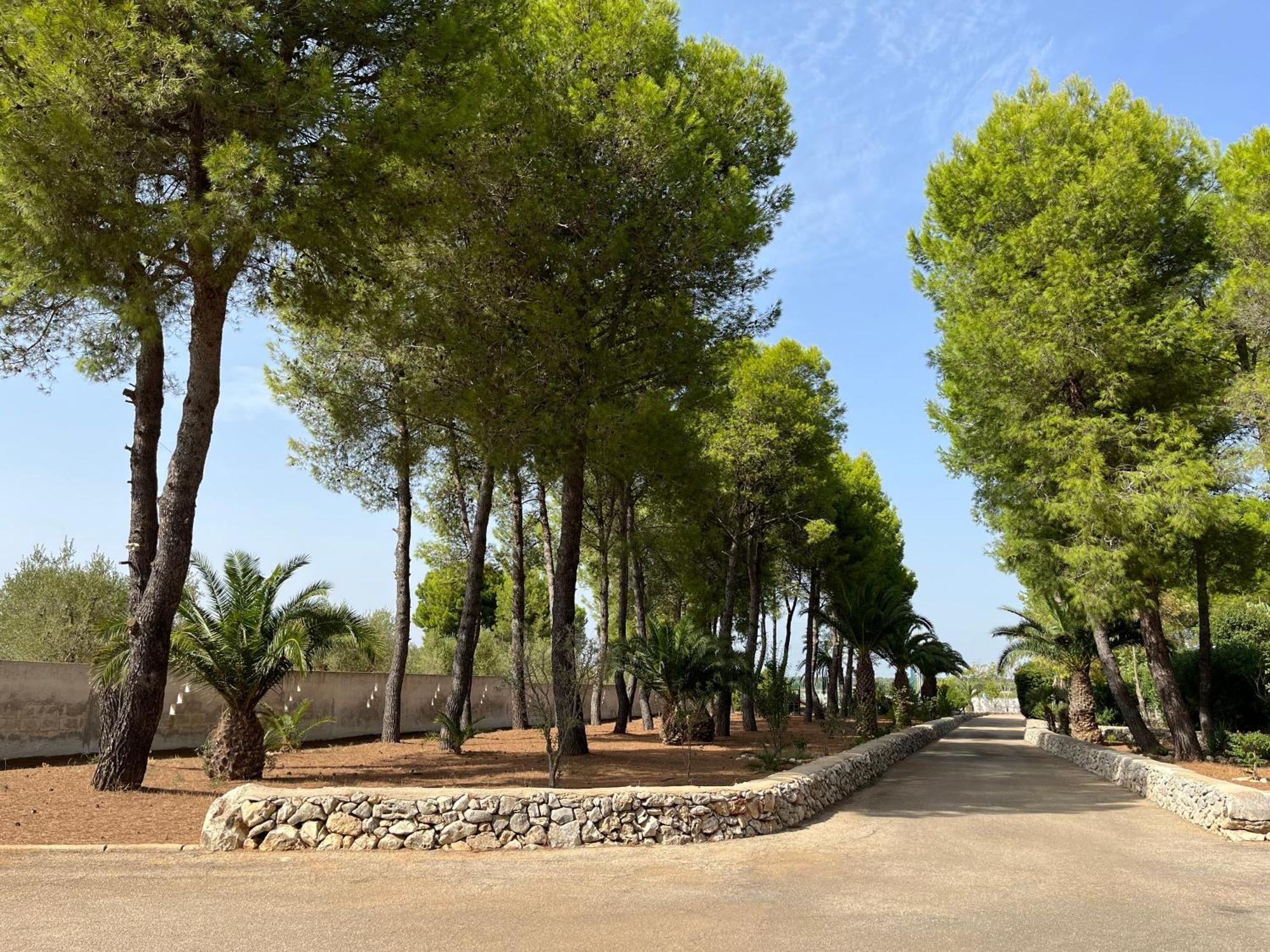 Casette Masseria La Camardia Sava Ngoại thất bức ảnh