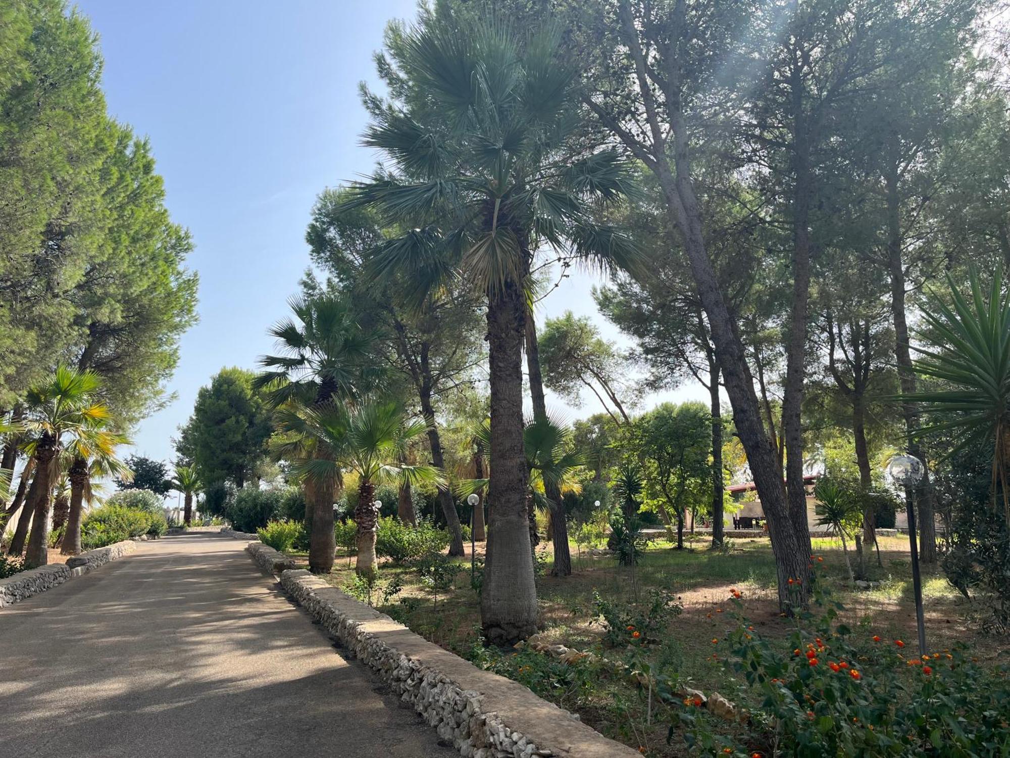 Casette Masseria La Camardia Sava Ngoại thất bức ảnh