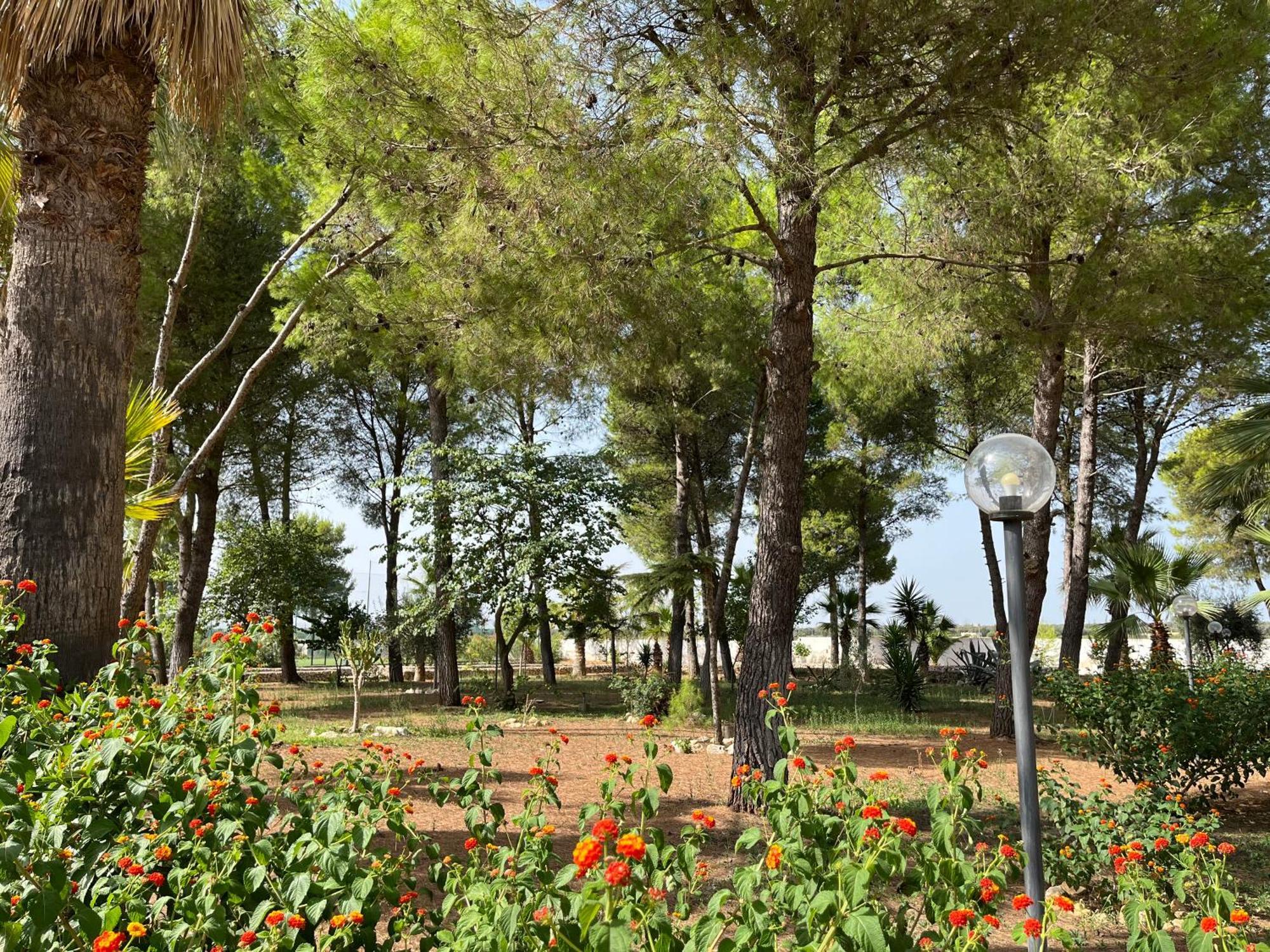 Casette Masseria La Camardia Sava Ngoại thất bức ảnh