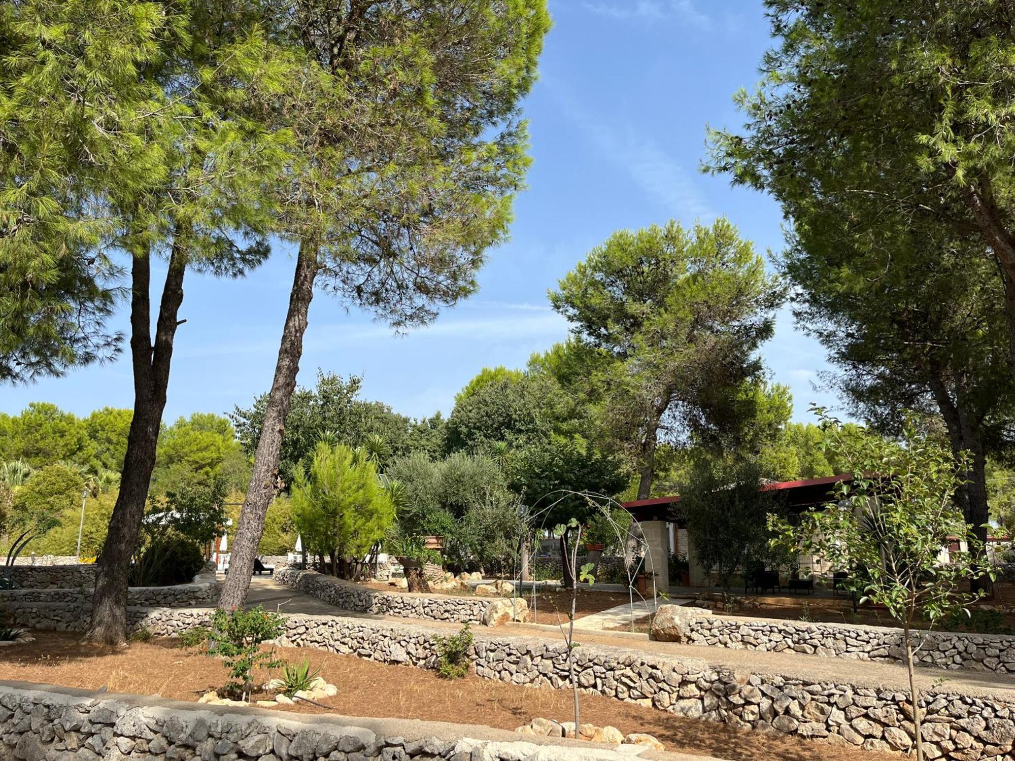 Casette Masseria La Camardia Sava Ngoại thất bức ảnh