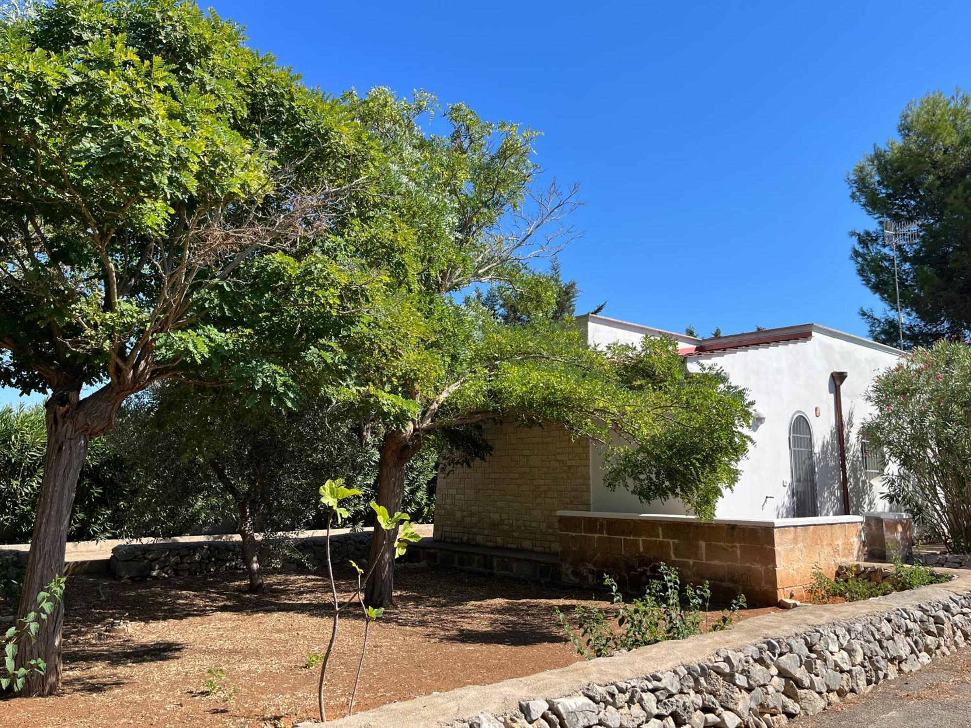 Casette Masseria La Camardia Sava Ngoại thất bức ảnh